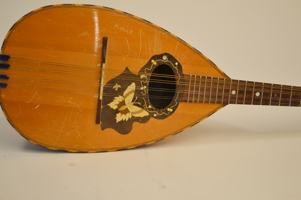 Vintage Bowlback Mandolin