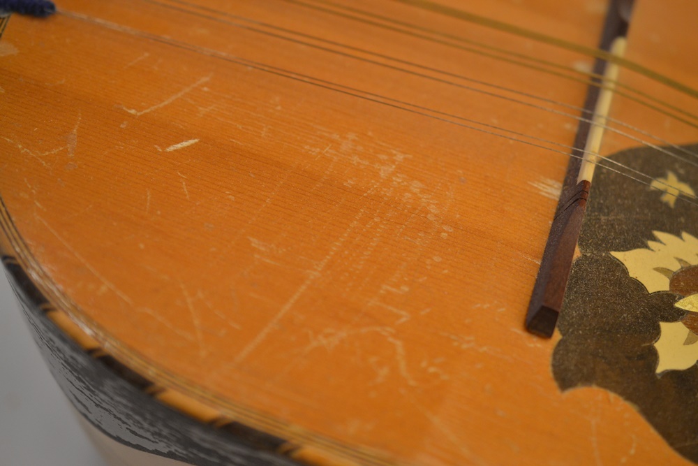 Vintage Bowlback Mandolin