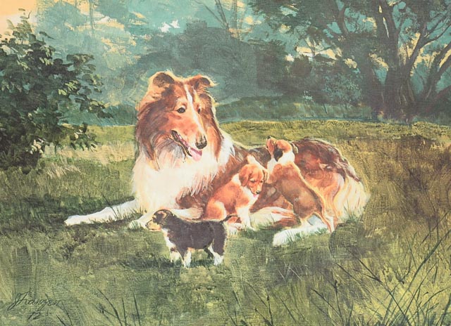 James Franzen Signed Lithography Print "American Collies"