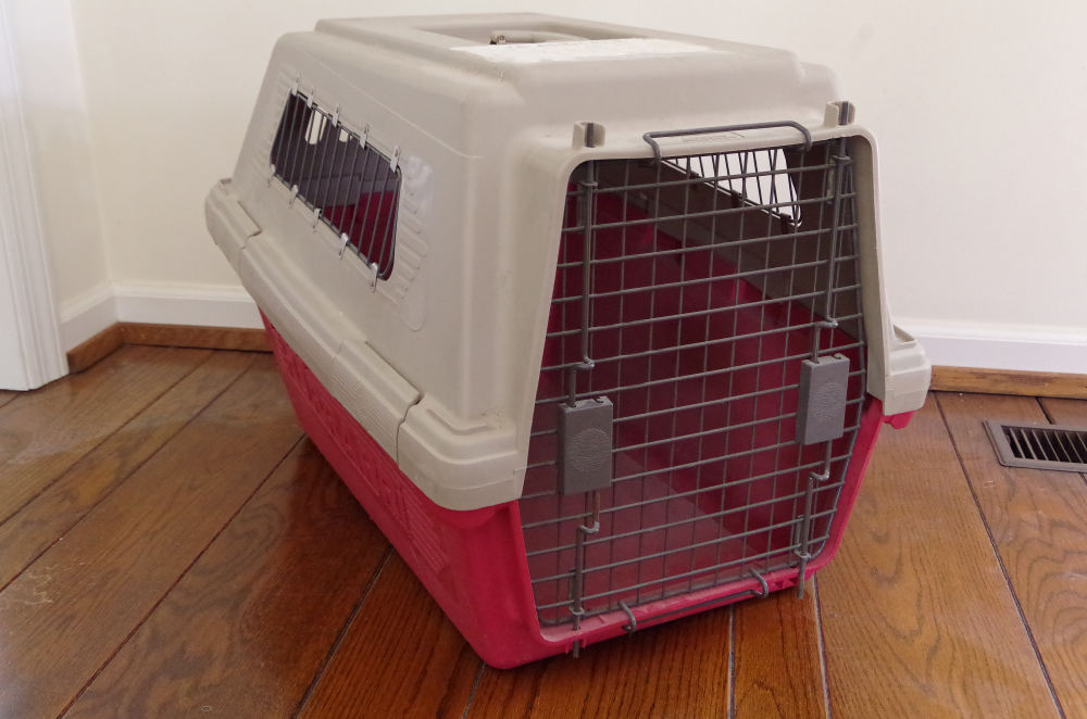 Furrari shop pet carrier