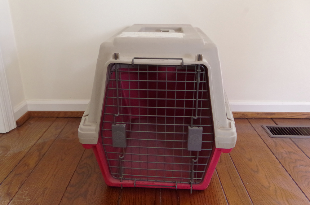 Furrari by Dogloo Pet Carrier Kennel