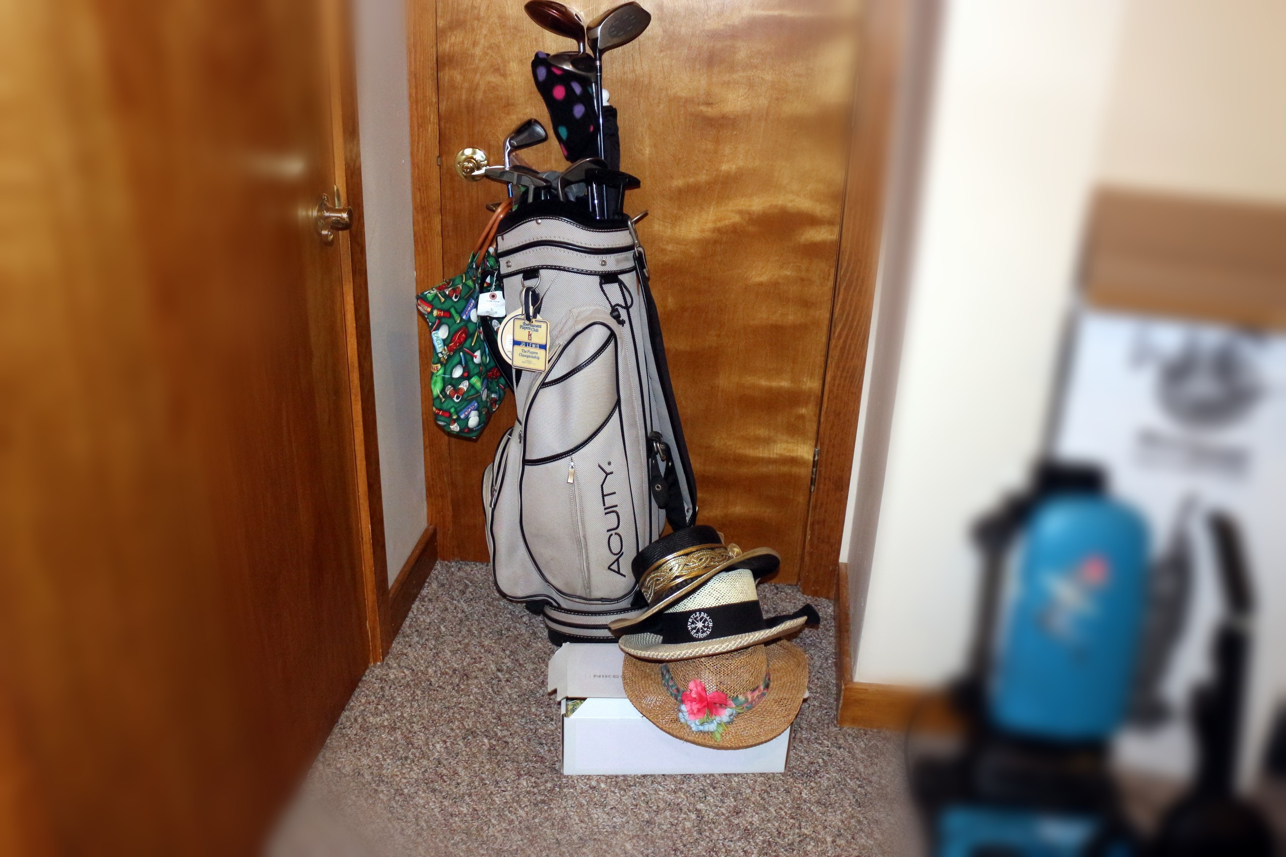 Ladies Golf Club Set and Bag with Hats