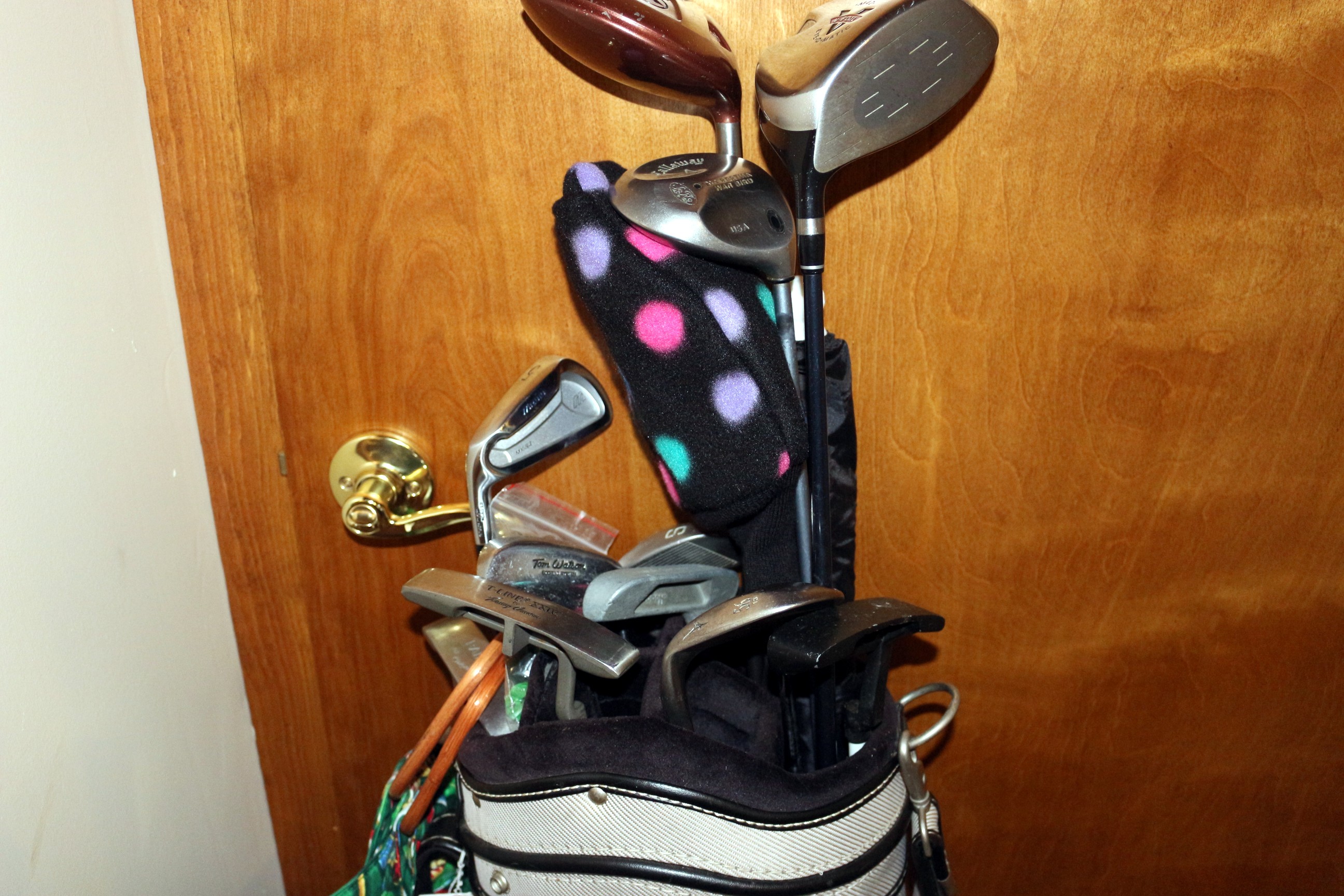 Ladies Golf Club Set and Bag with Hats