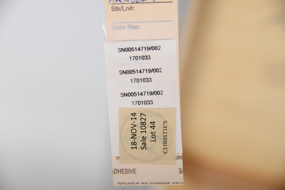 2005 Charles Arnoldi Painting Titled "Recluse"