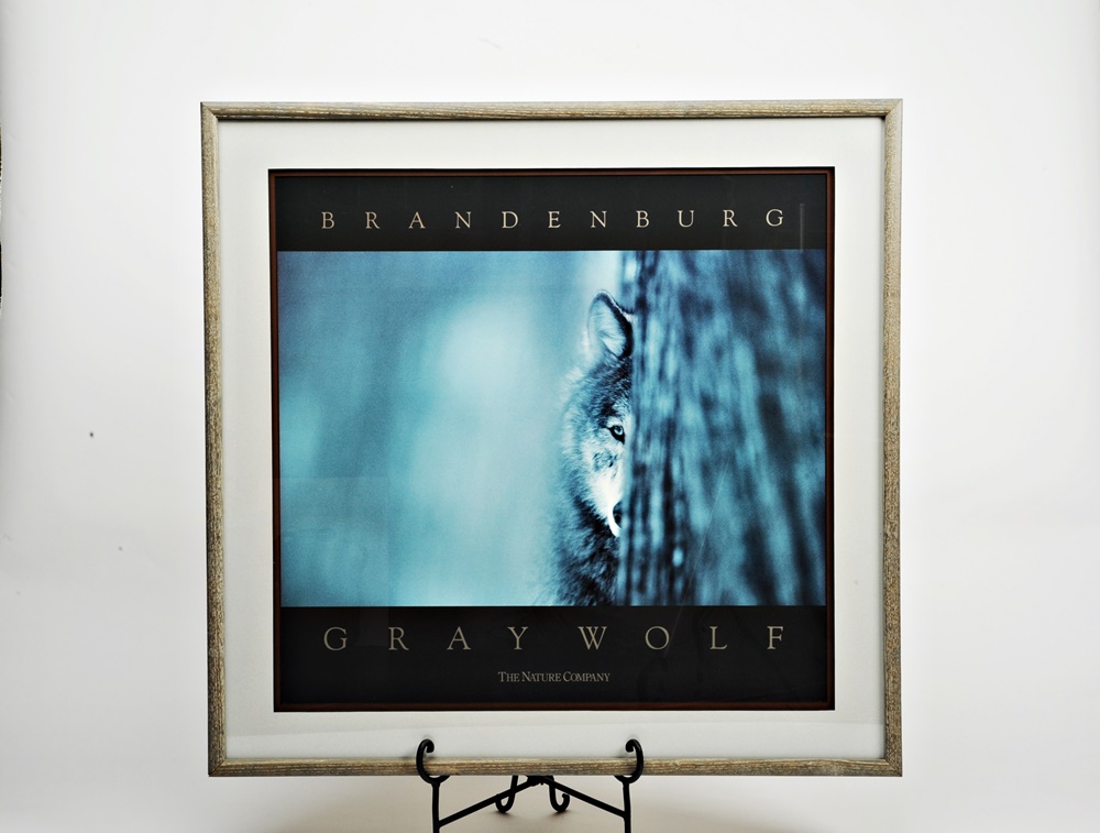 "Gray Wolf" By Jim Brandenburg