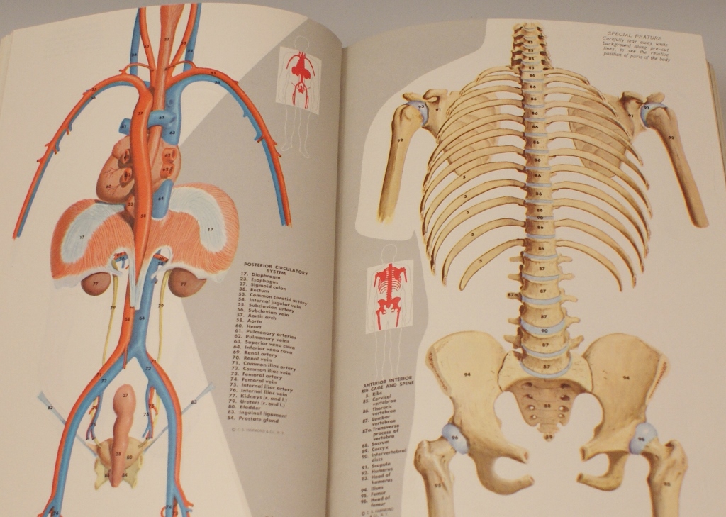 Vintage Medical Encyclopedias