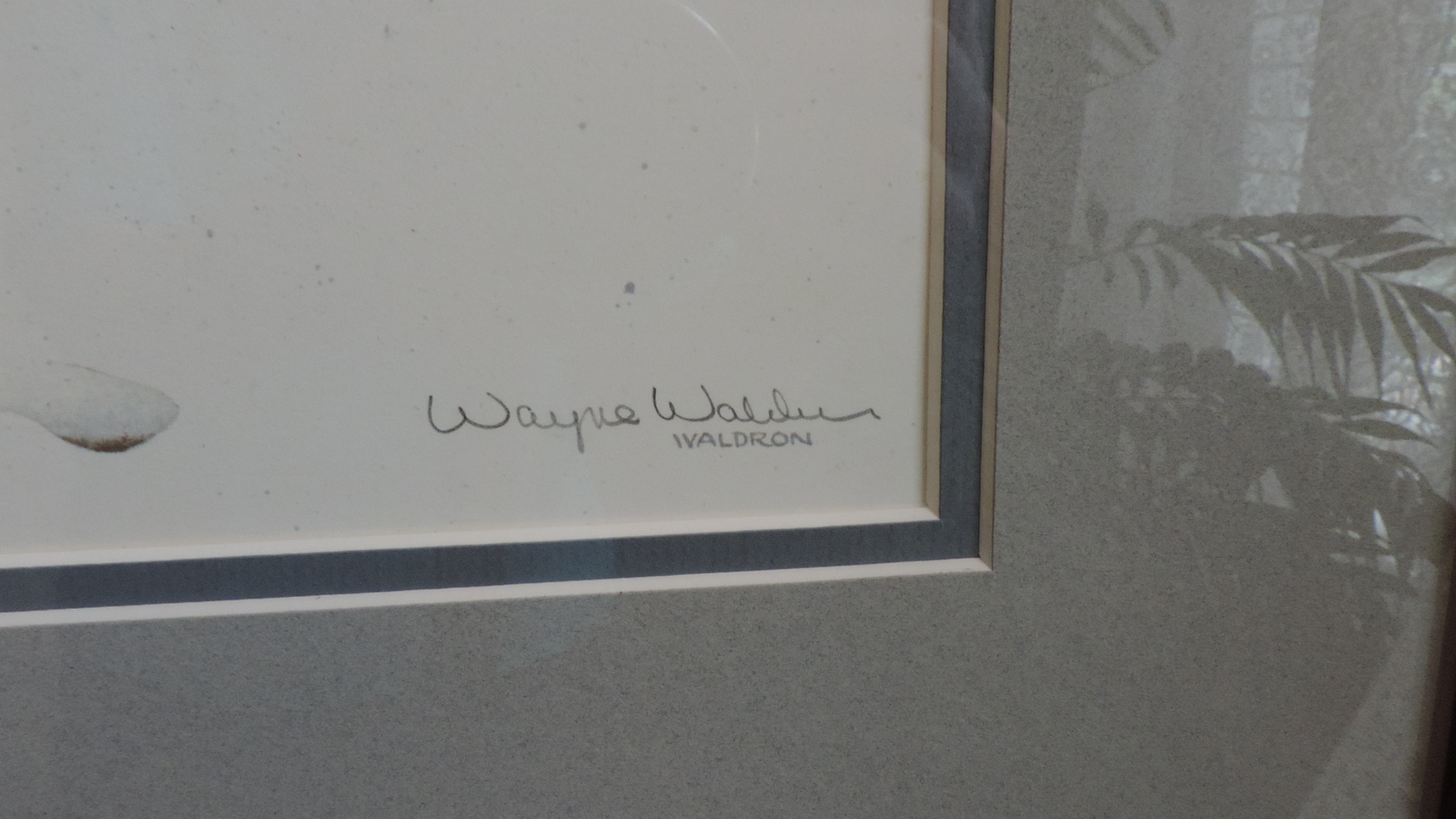 Wayne Waldron Signed Limited Edition Print
