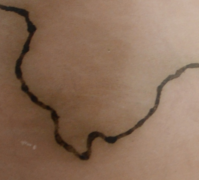 Horse Hair Vase by Native American Pueblo Artist Tony Mirabal