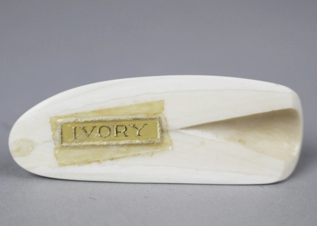 Carved Ivory Inuit in Canoe on Large Walrus Tooth and Polar Bear