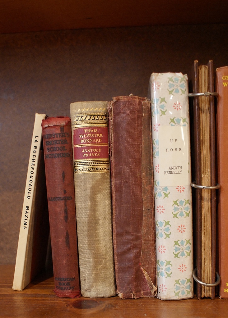 Thirteen Vintage Books