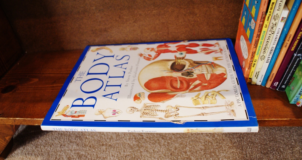 Vintage To Newer Children's Books