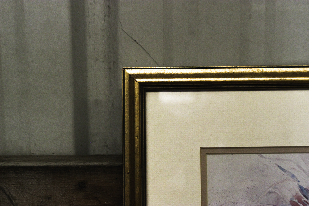 Pair of Framed Art Prints