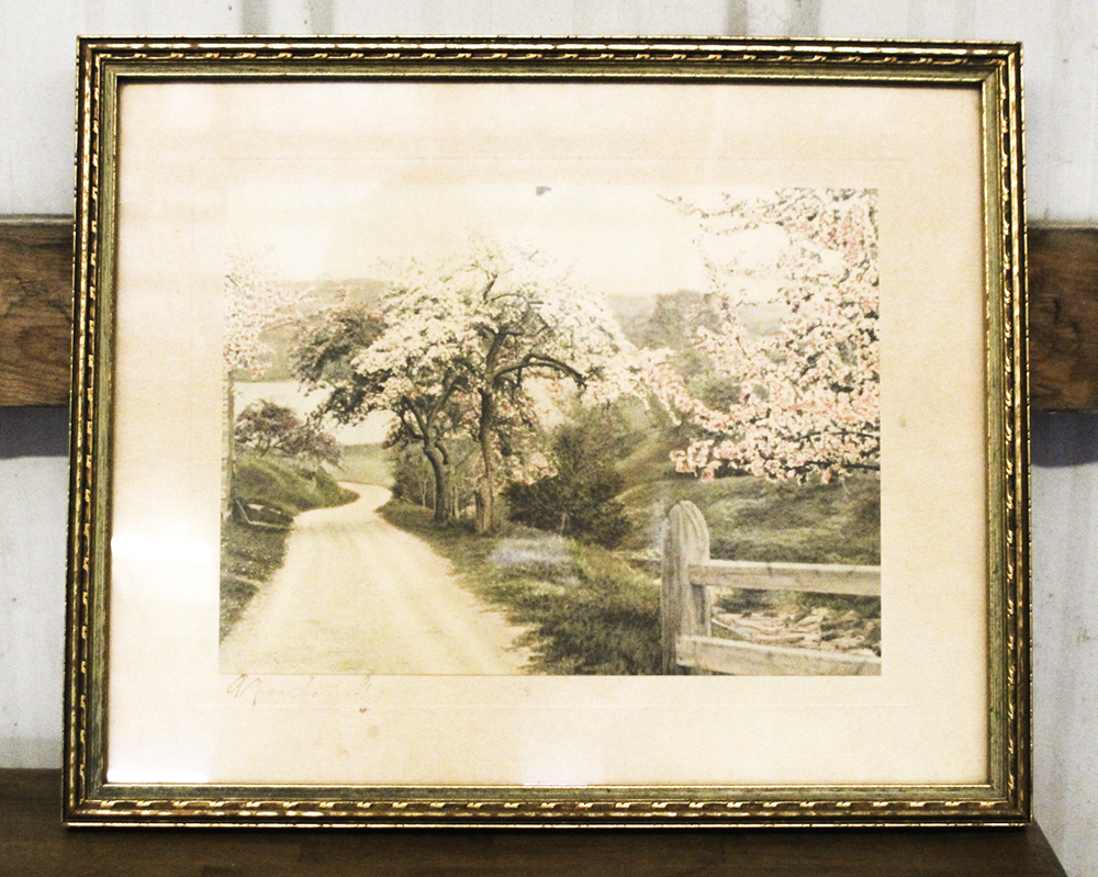 Pair of Framed Art Prints