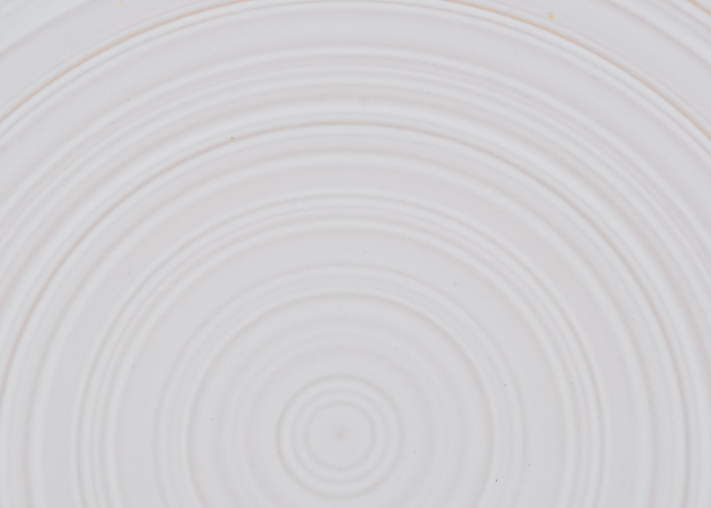 West Elm Platter and Modern Vase