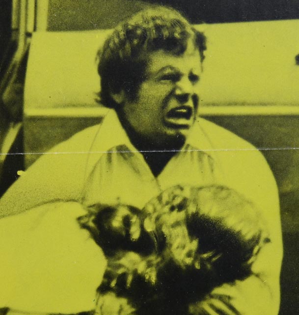 Original 1973 "Walking Tall" Joe Don Baker Poster