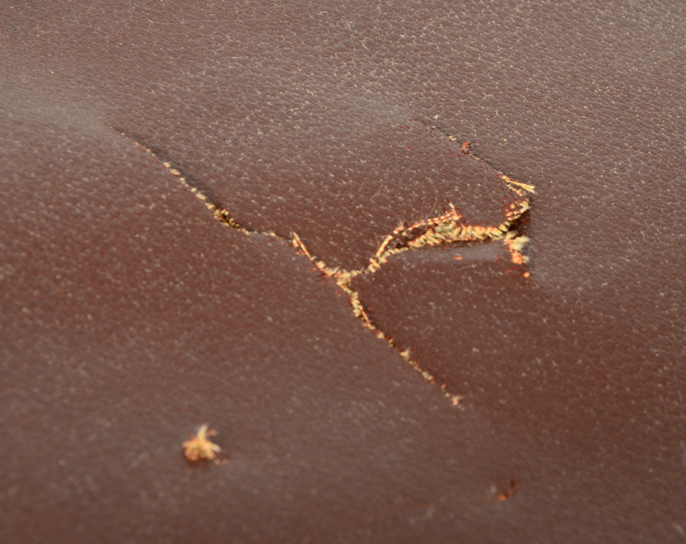 Antique Medical Stretcher