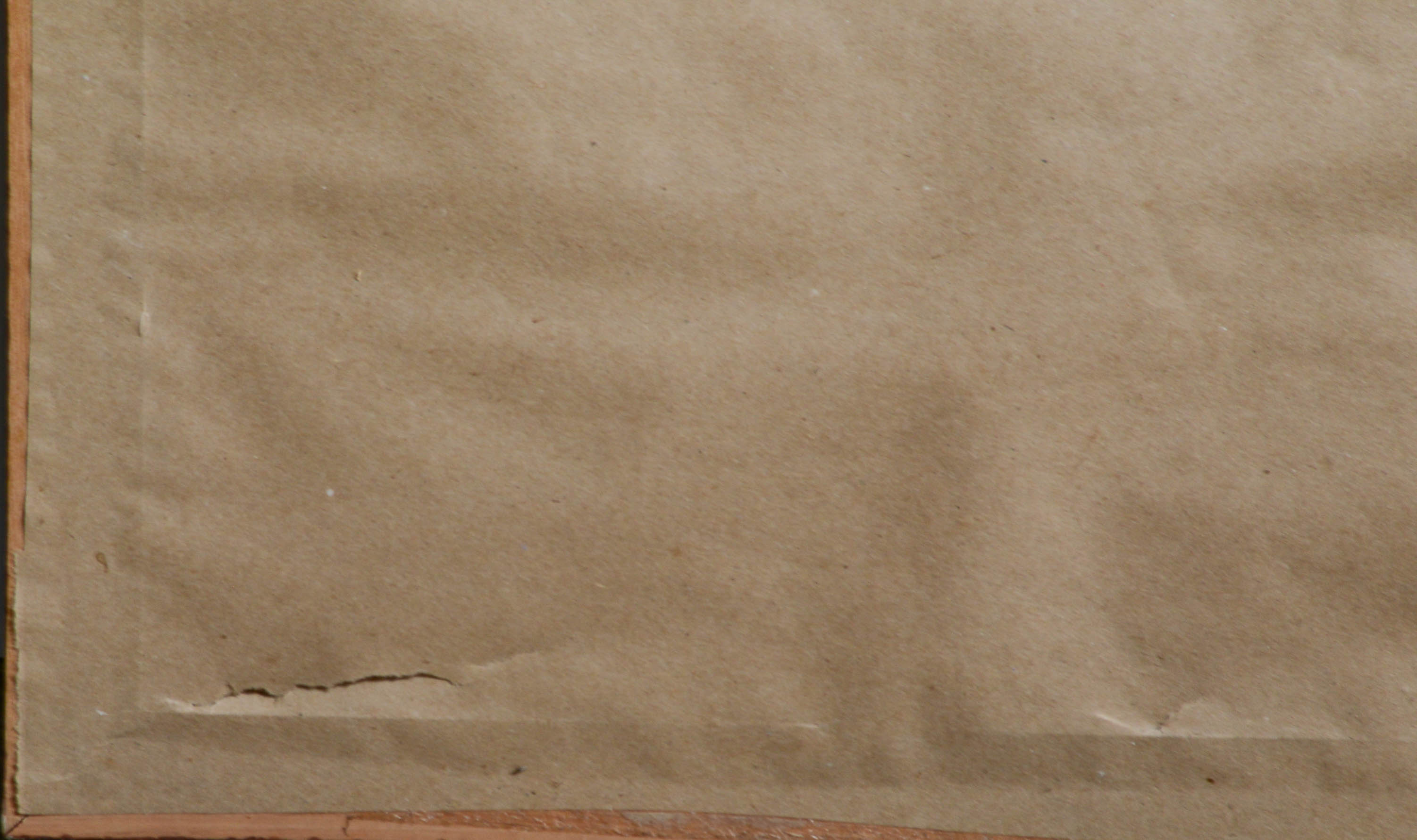 R.O. Martinez "Garden Paradise" Signed Print with Painted Overlay