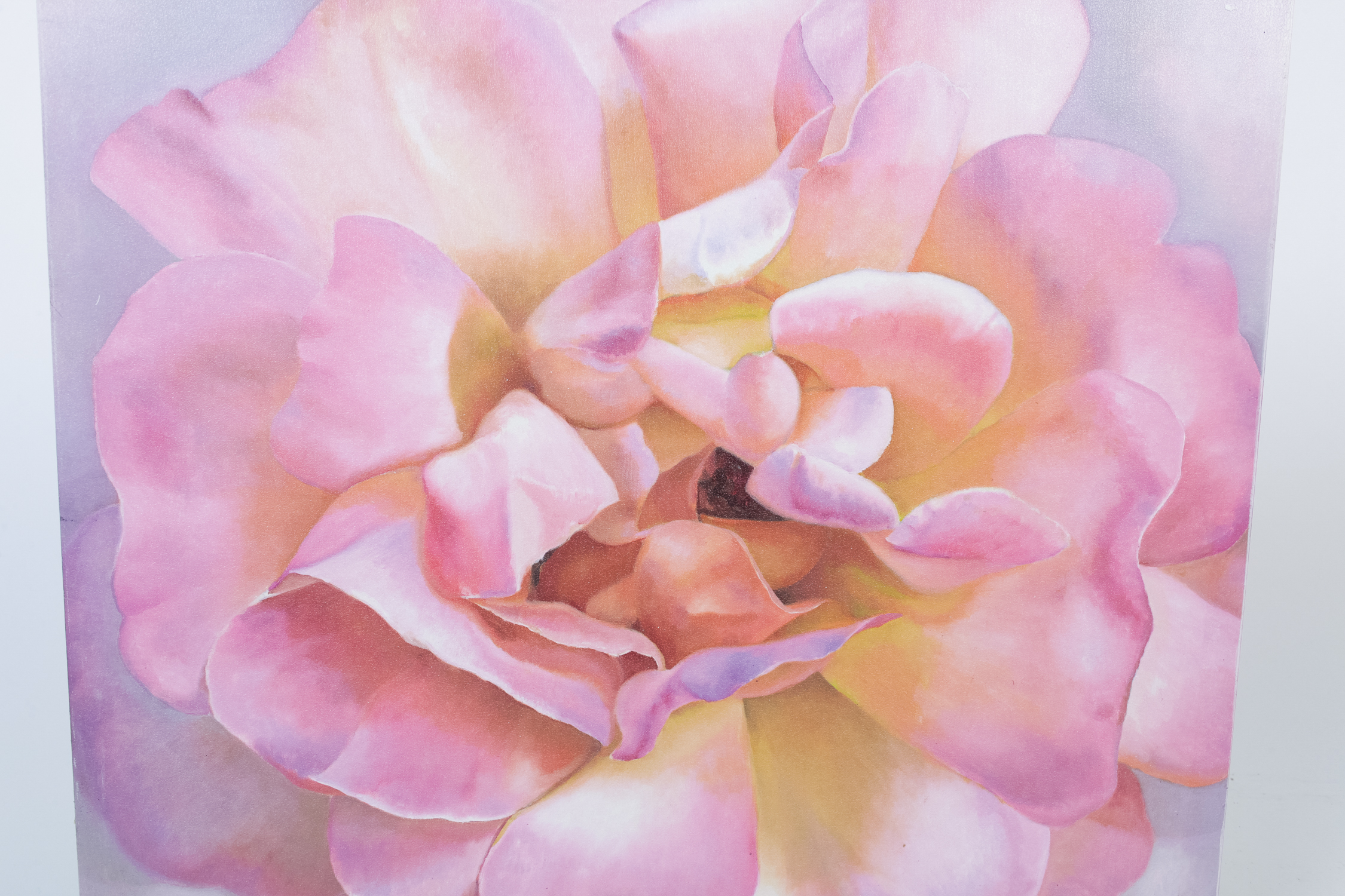 Collection of Floral Art