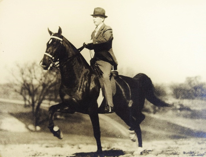 Collection of Fascinating Victorian Photographs