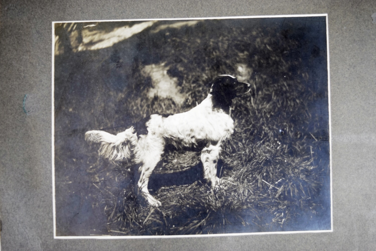 Collection of Fascinating Victorian Photographs