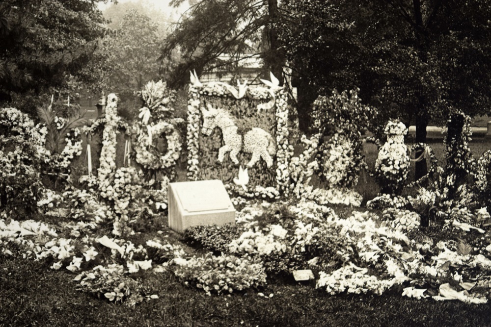 Collection of Fascinating Victorian Photographs