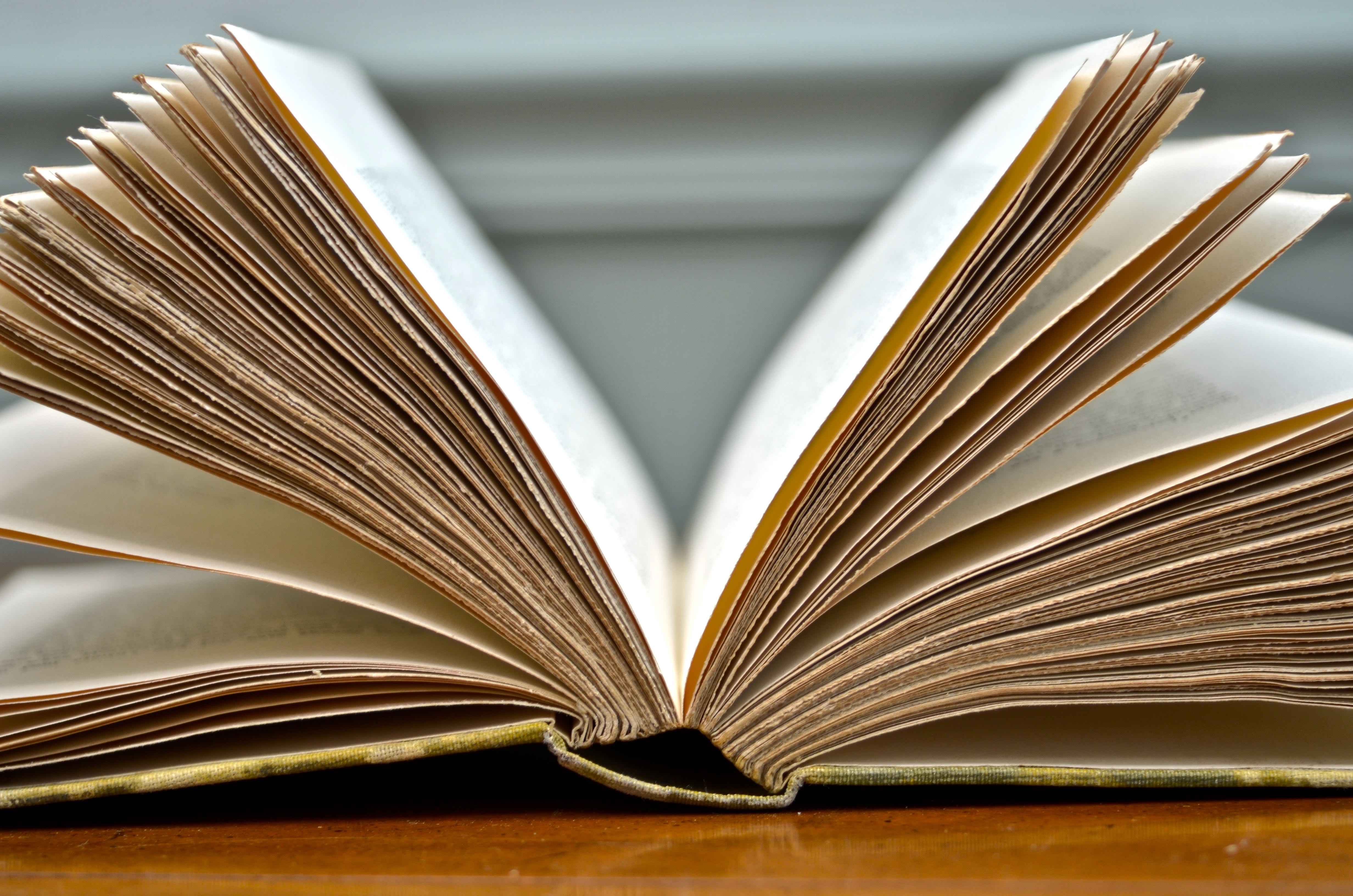 Courtiers and Favorites of Royalty: History of Henry IV