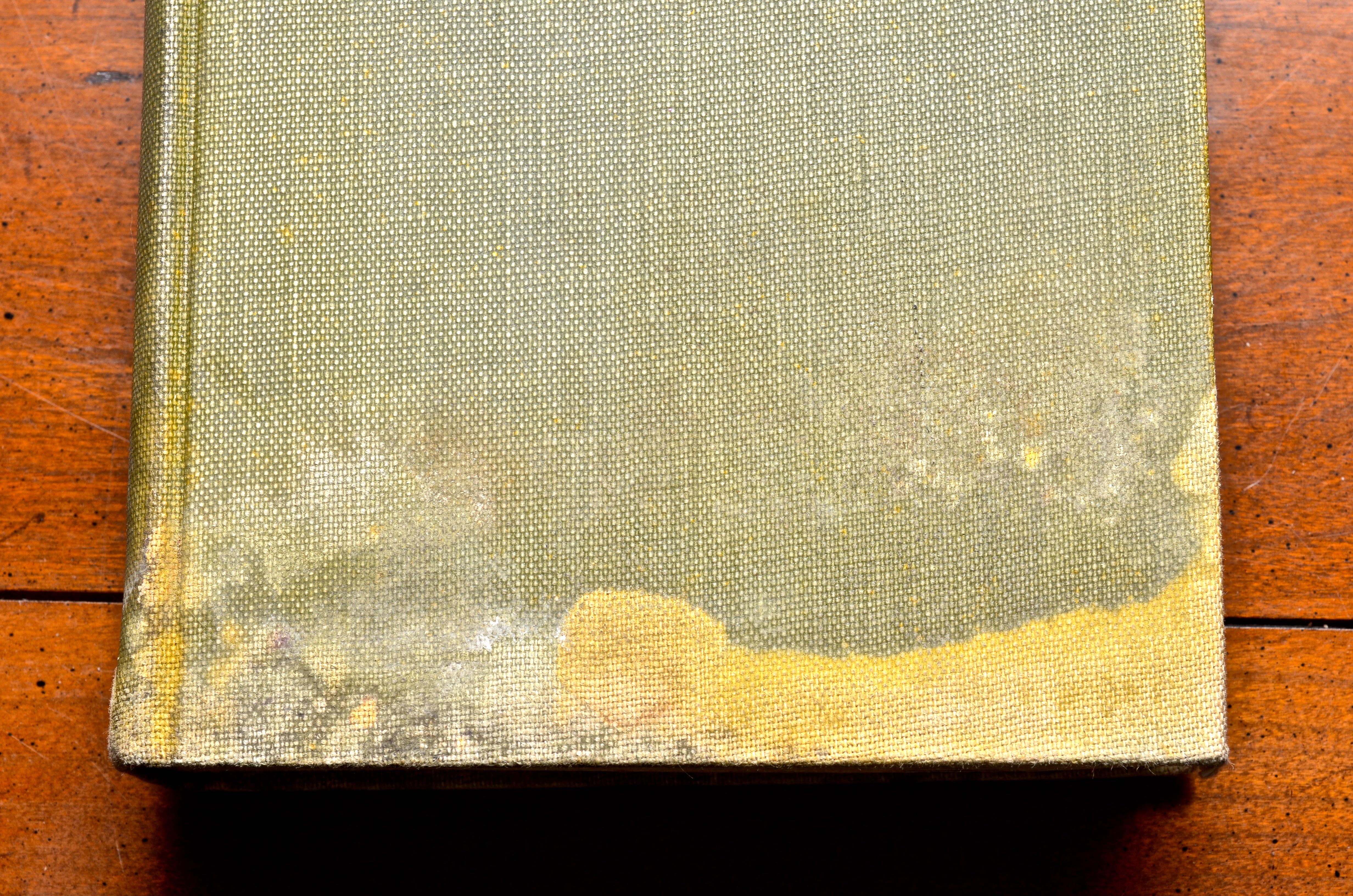 Courtiers and Favorites of Royalty Memoirs of Cardinal De Retz