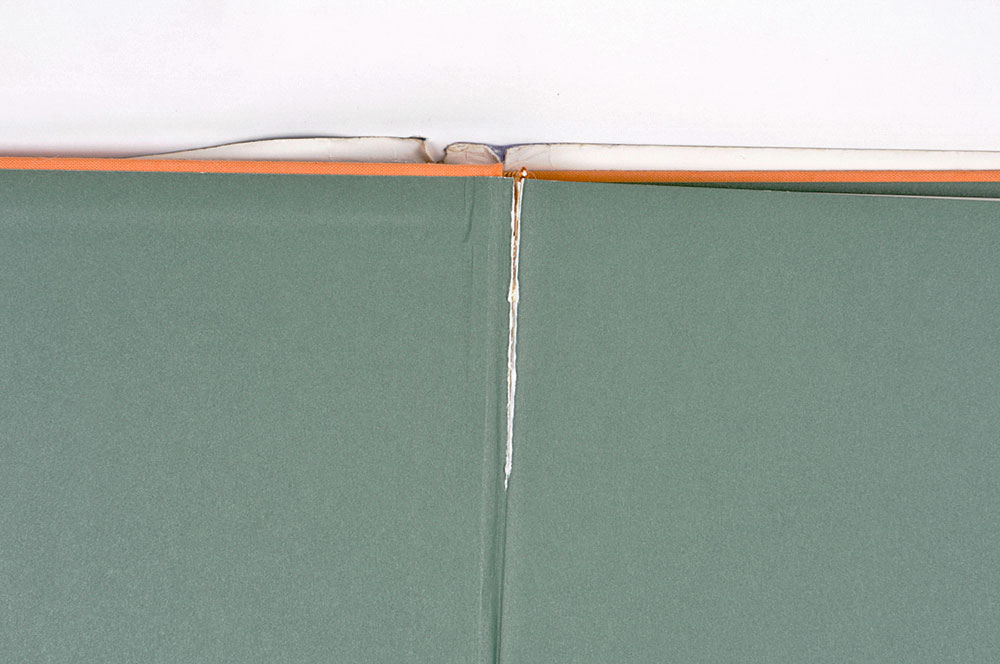 Collection of Kentucky Theme Coffee Table Books