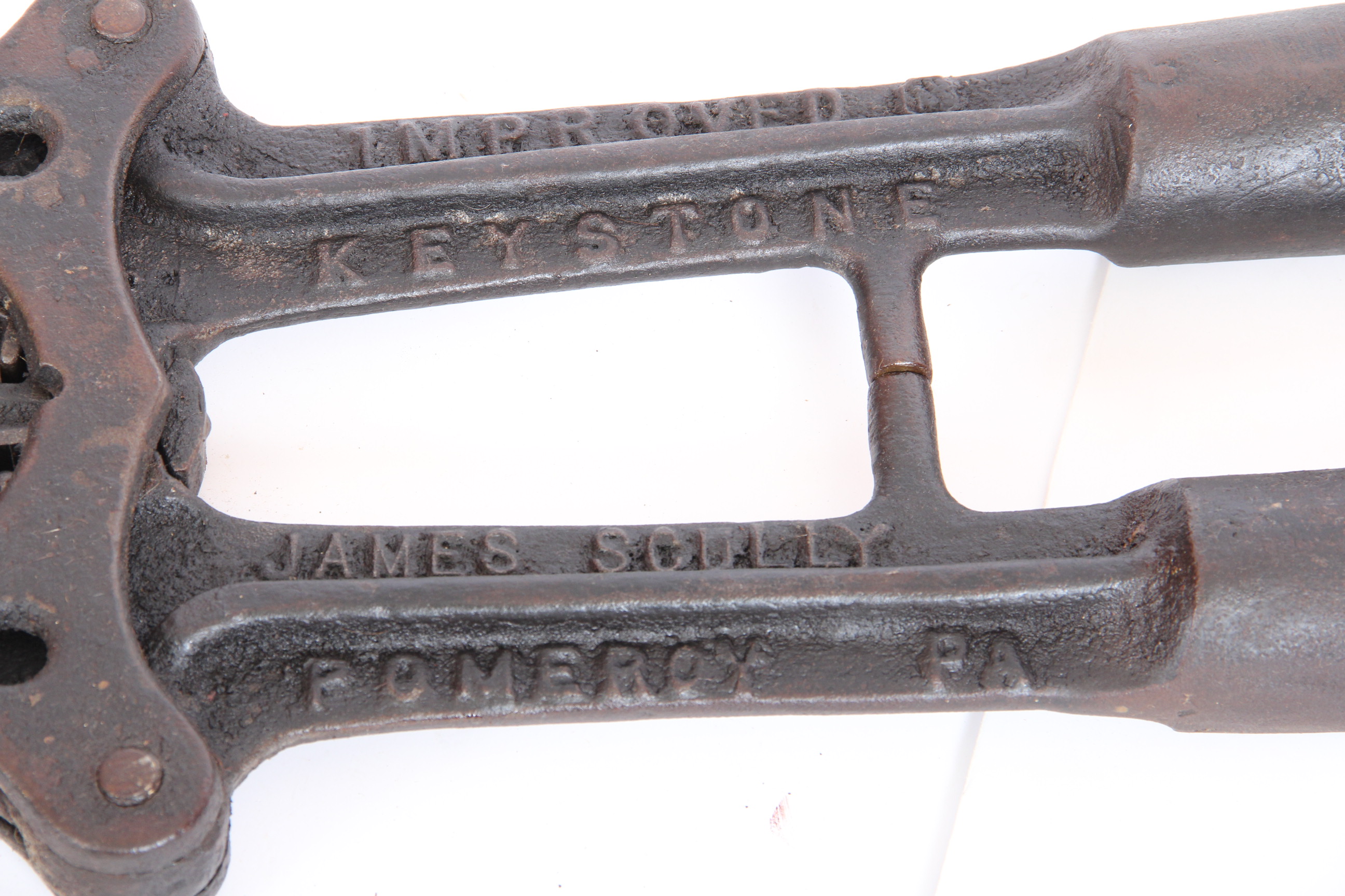 Cattle Horn Clippers