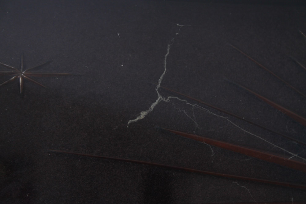 Turner 8 Day Framed Wall Clock