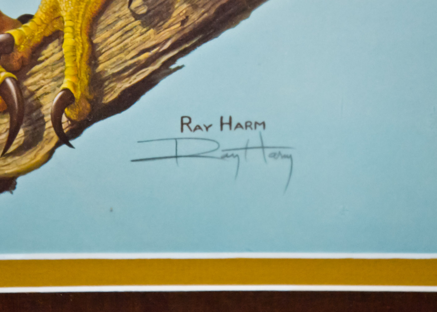 Ray Harm Signed Wildlife Print