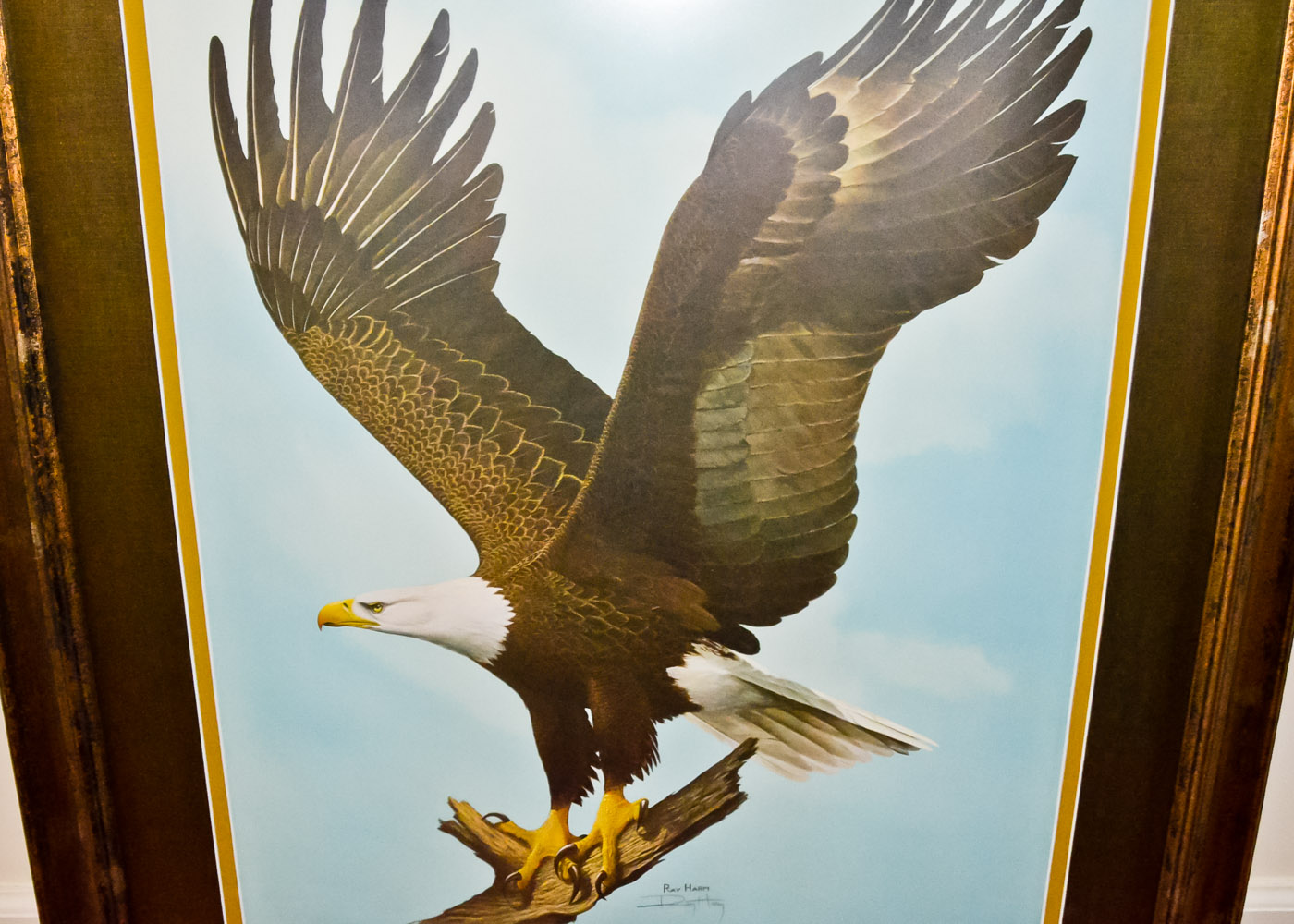 Ray Harm Signed Wildlife Print