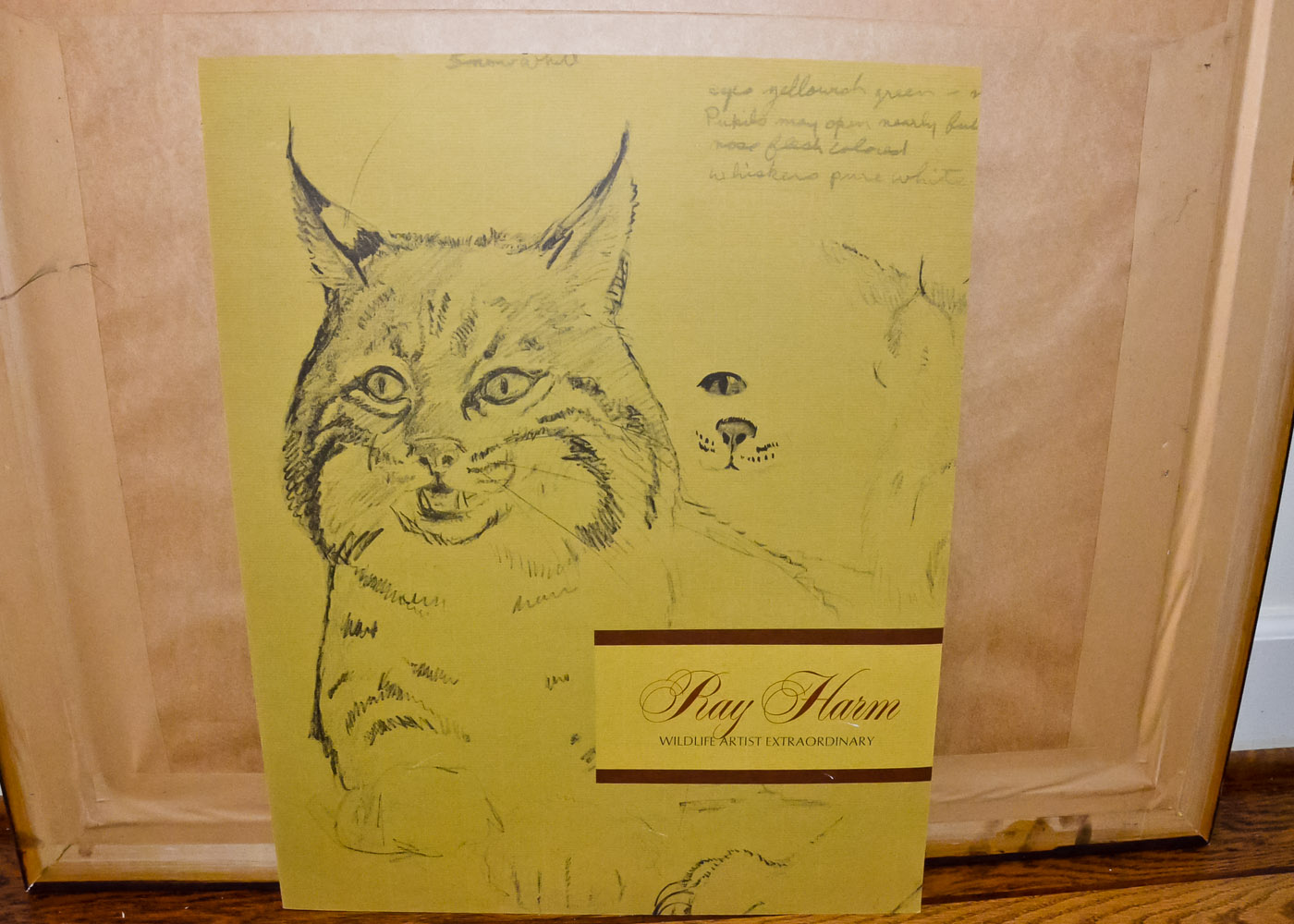 Ray Harm Signed Wildlife Print