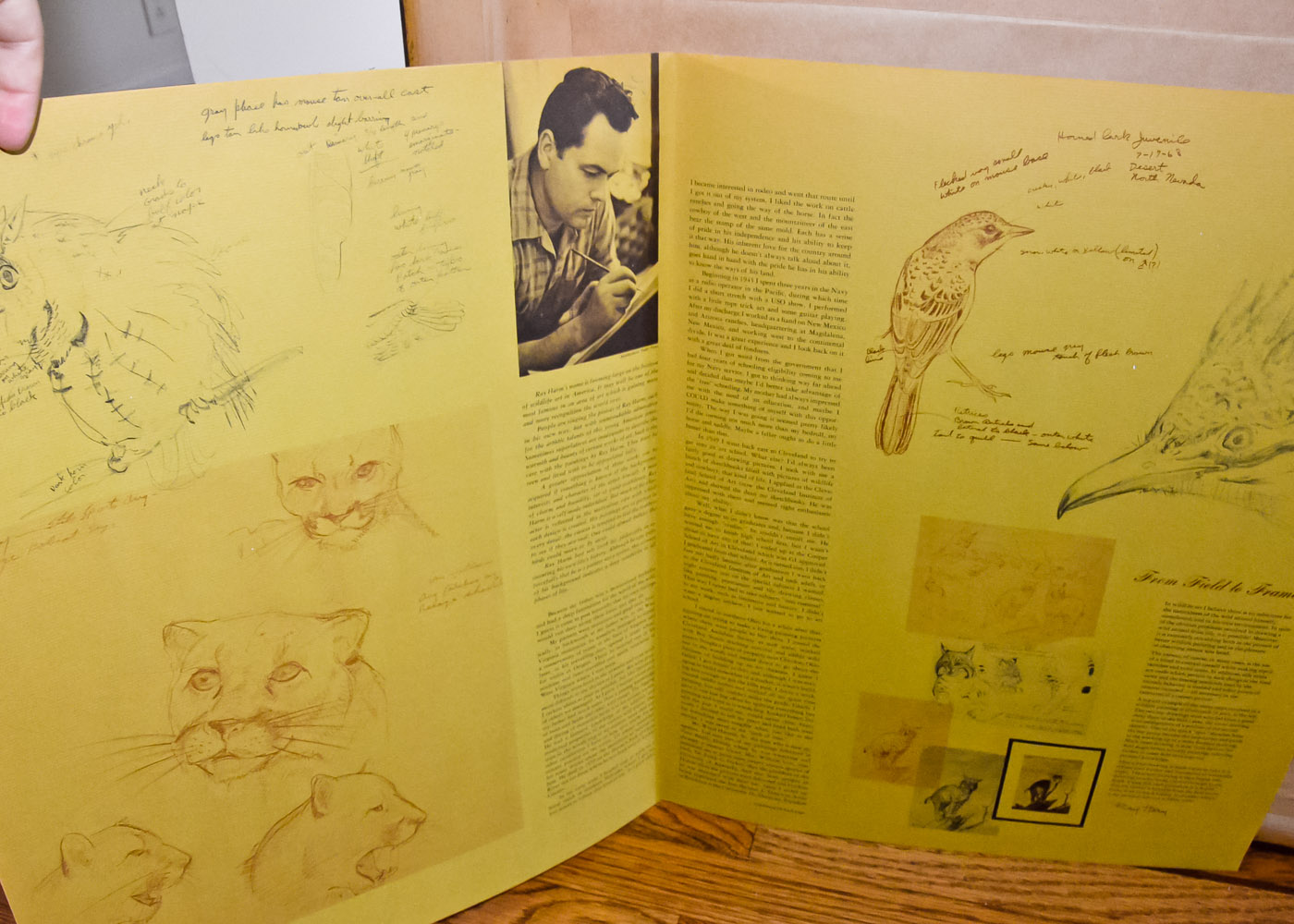 Ray Harm Signed Wildlife Print