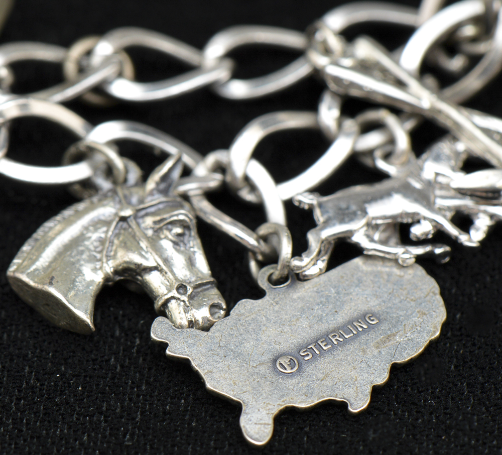 Charm Bracelet with Sterling