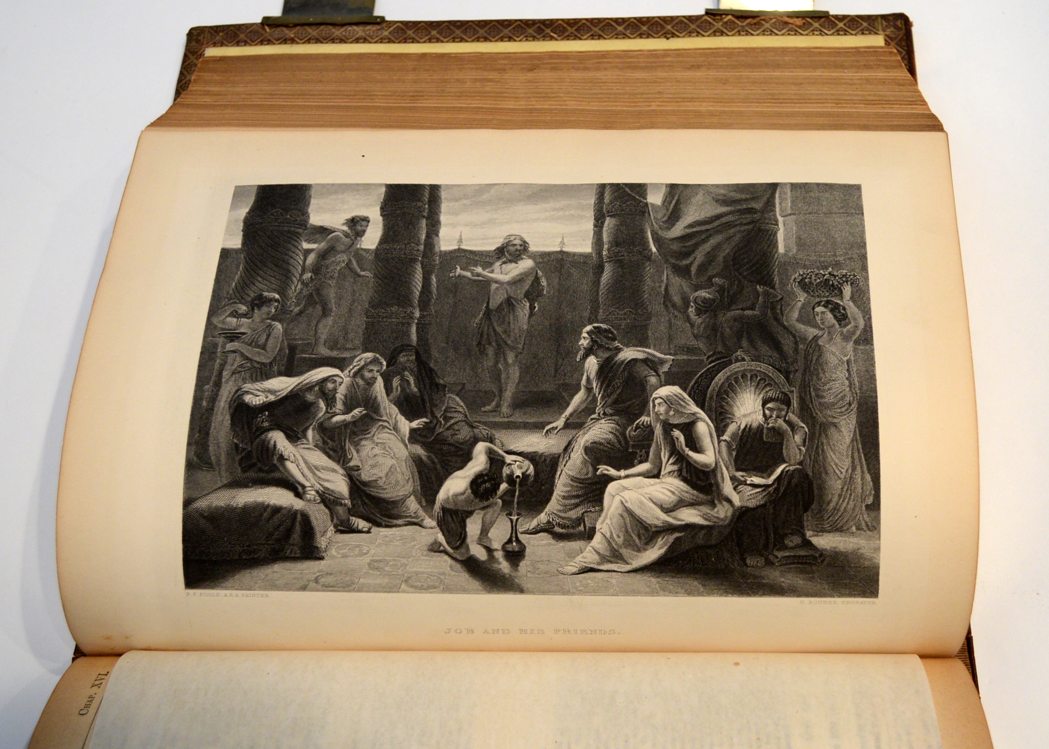 1884 Illustrated Douay Rheims Catholic Bible