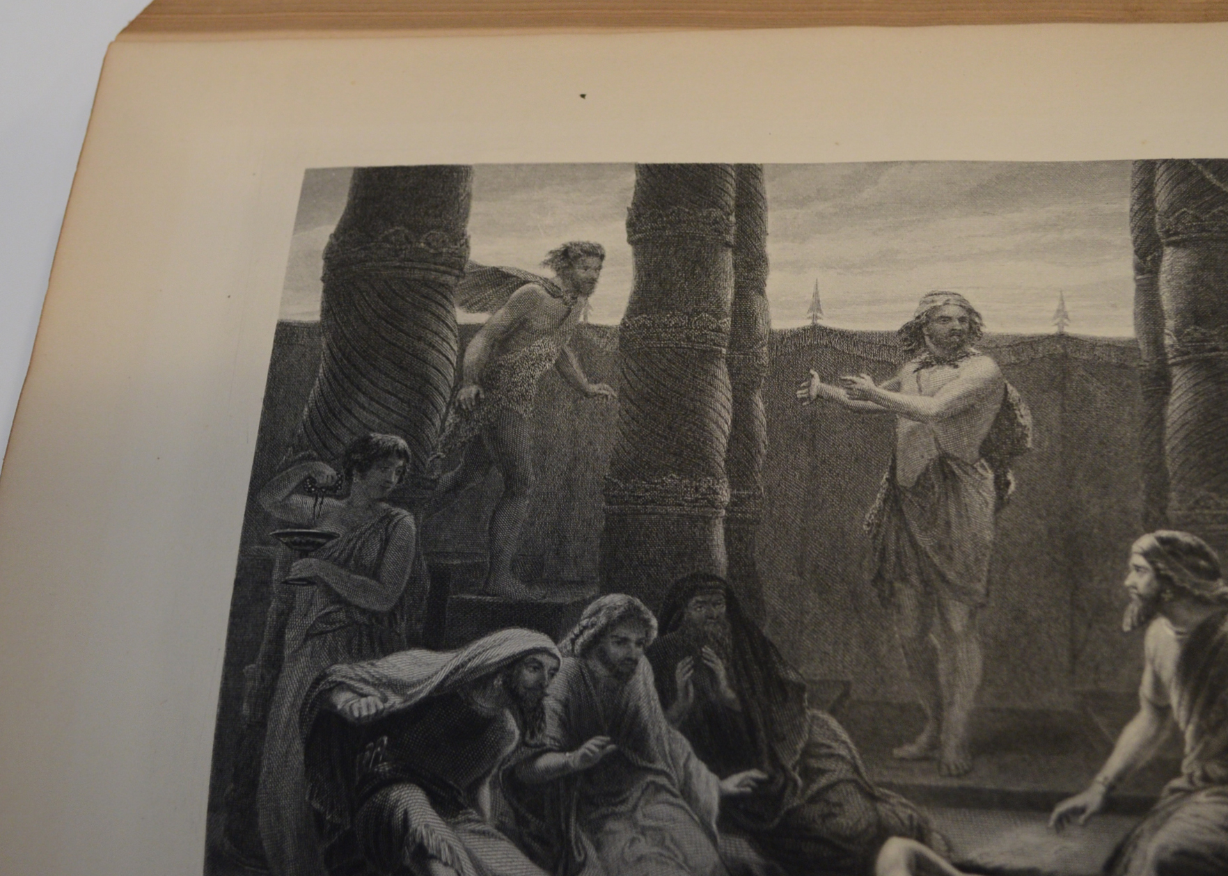 1884 Illustrated Douay Rheims Catholic Bible