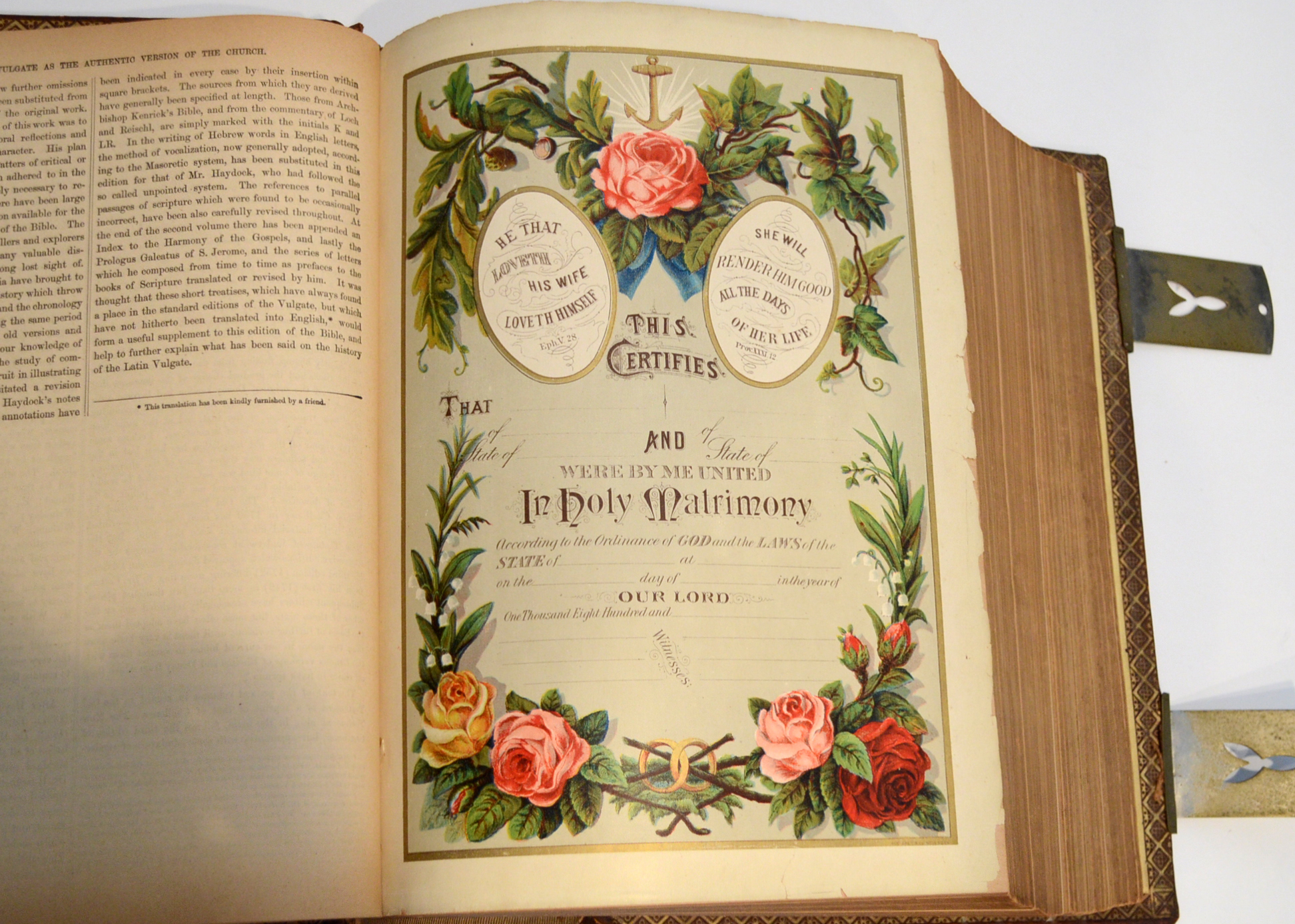 1884 Illustrated Douay Rheims Catholic Bible