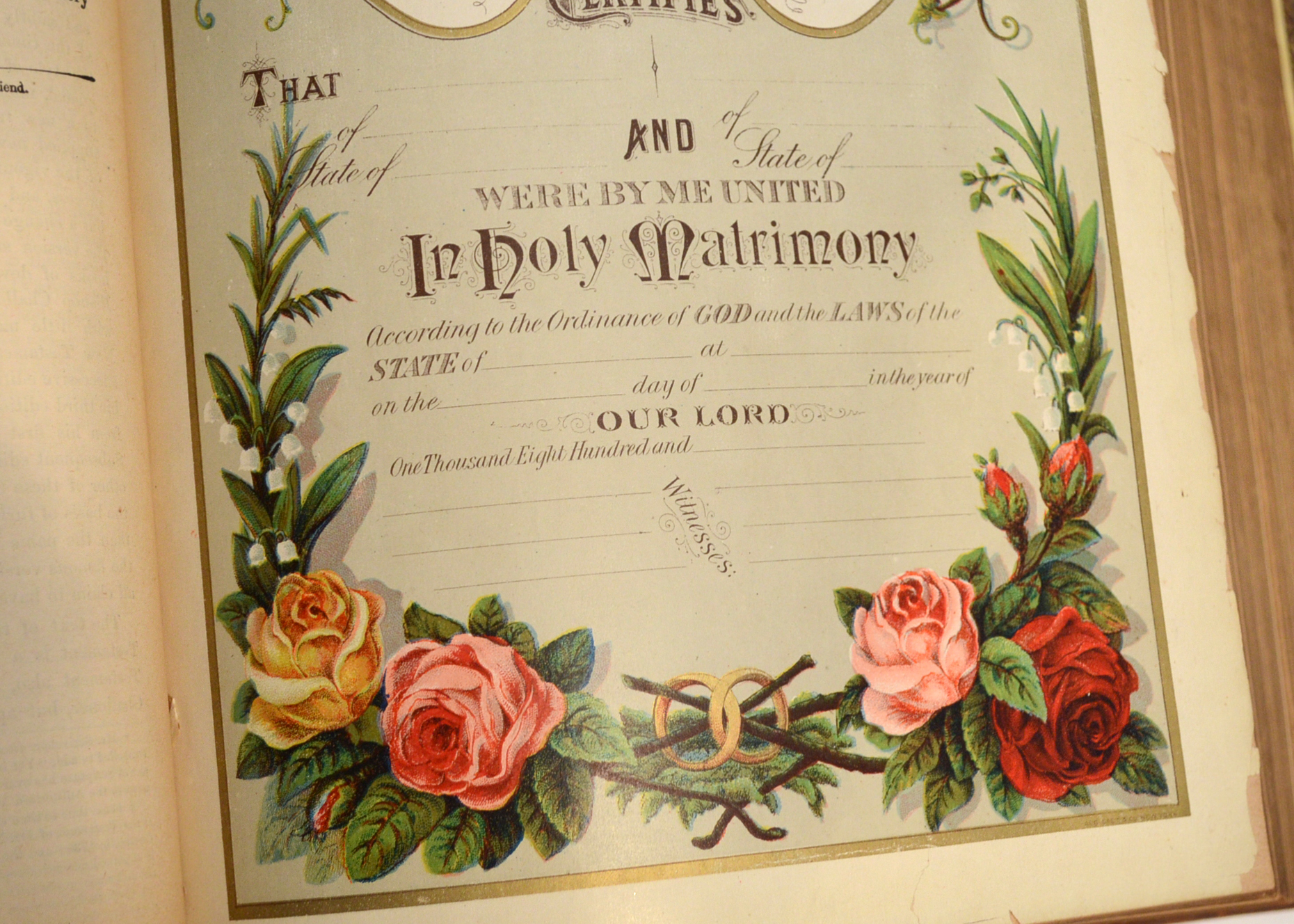 1884 Illustrated Douay Rheims Catholic Bible