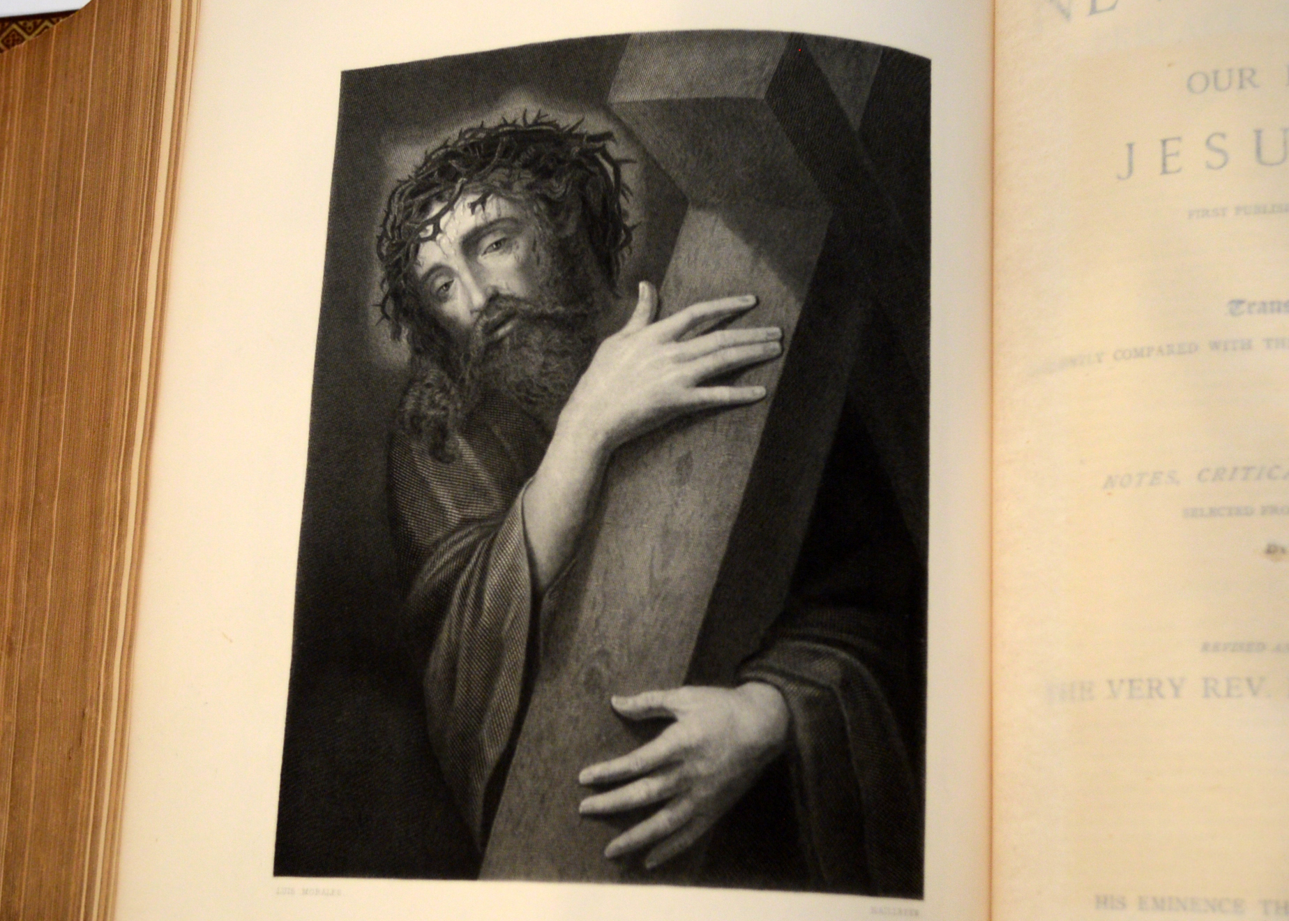 1884 Illustrated Douay Rheims Catholic Bible