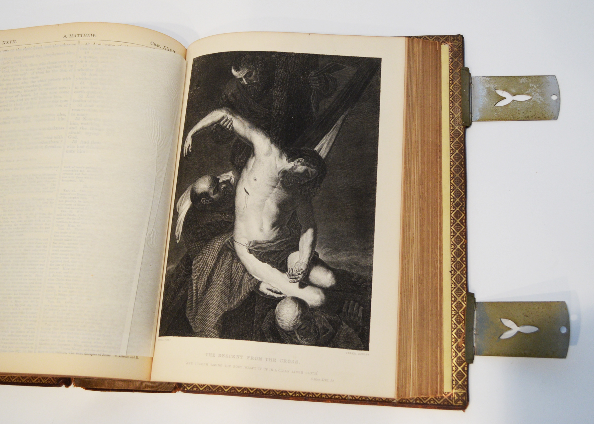 1884 Illustrated Douay Rheims Catholic Bible