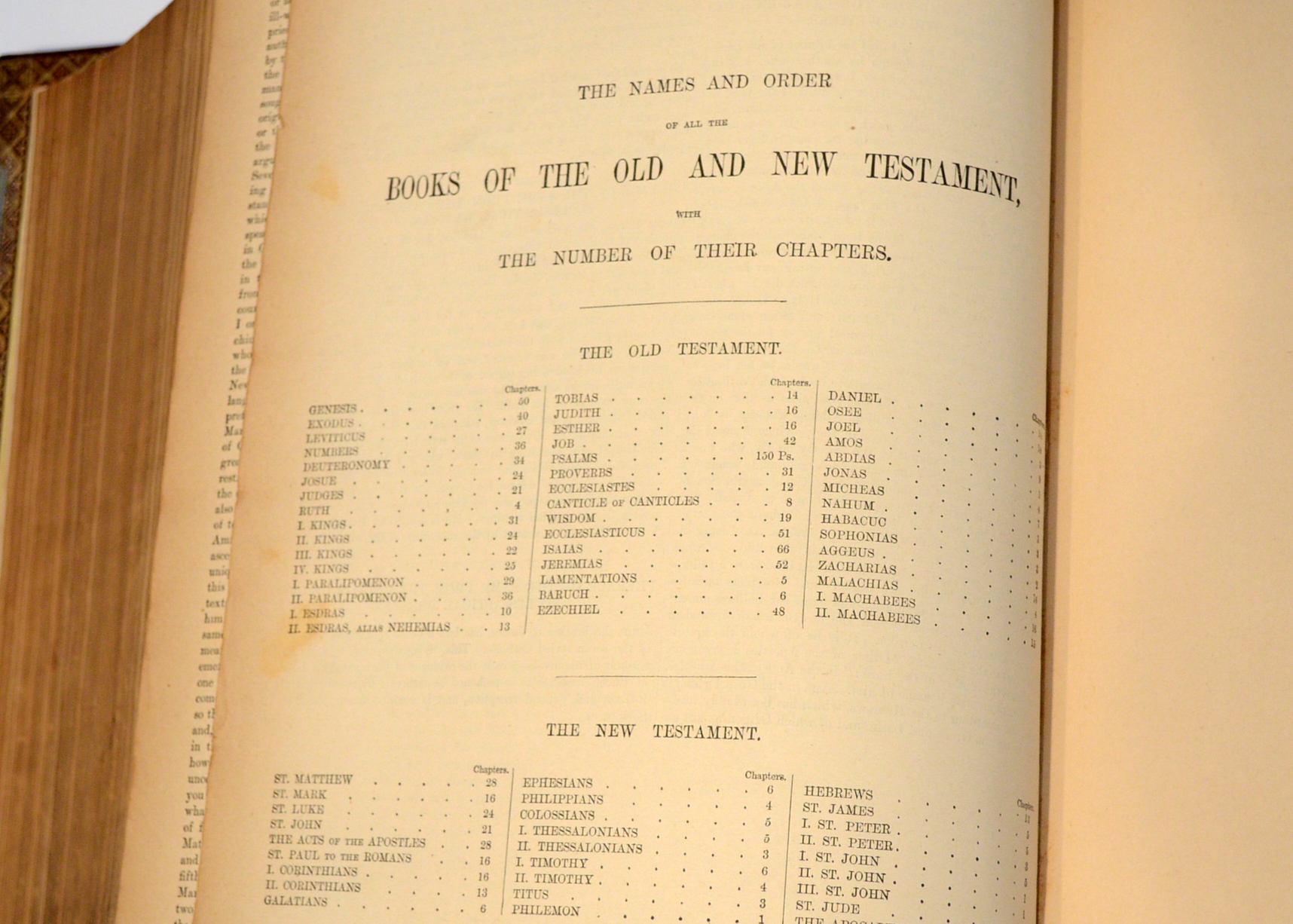 1884 Illustrated Douay Rheims Catholic Bible