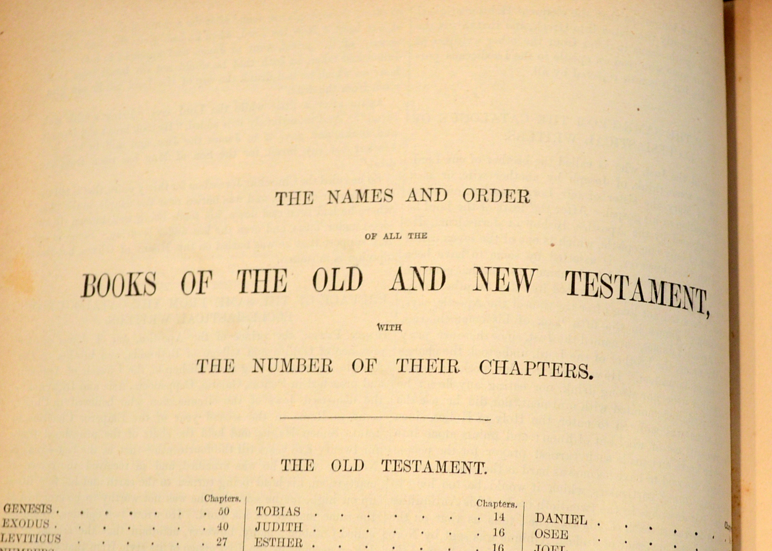 1884 Illustrated Douay Rheims Catholic Bible