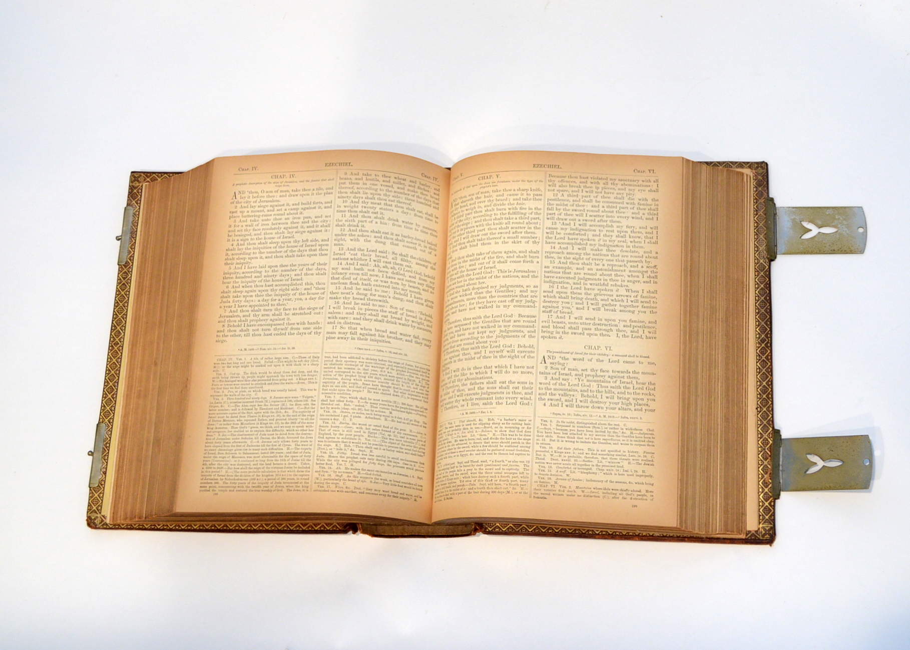 1884 Illustrated Douay Rheims Catholic Bible