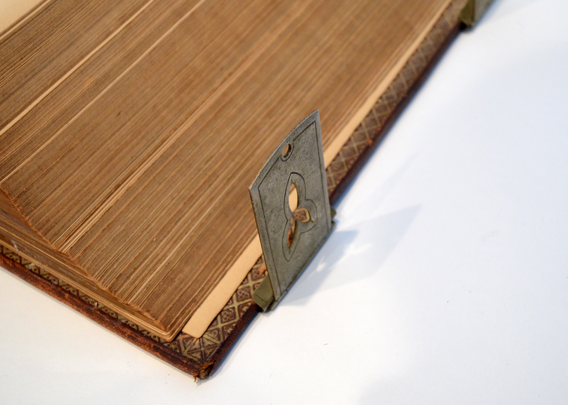 1884 Illustrated Douay Rheims Catholic Bible