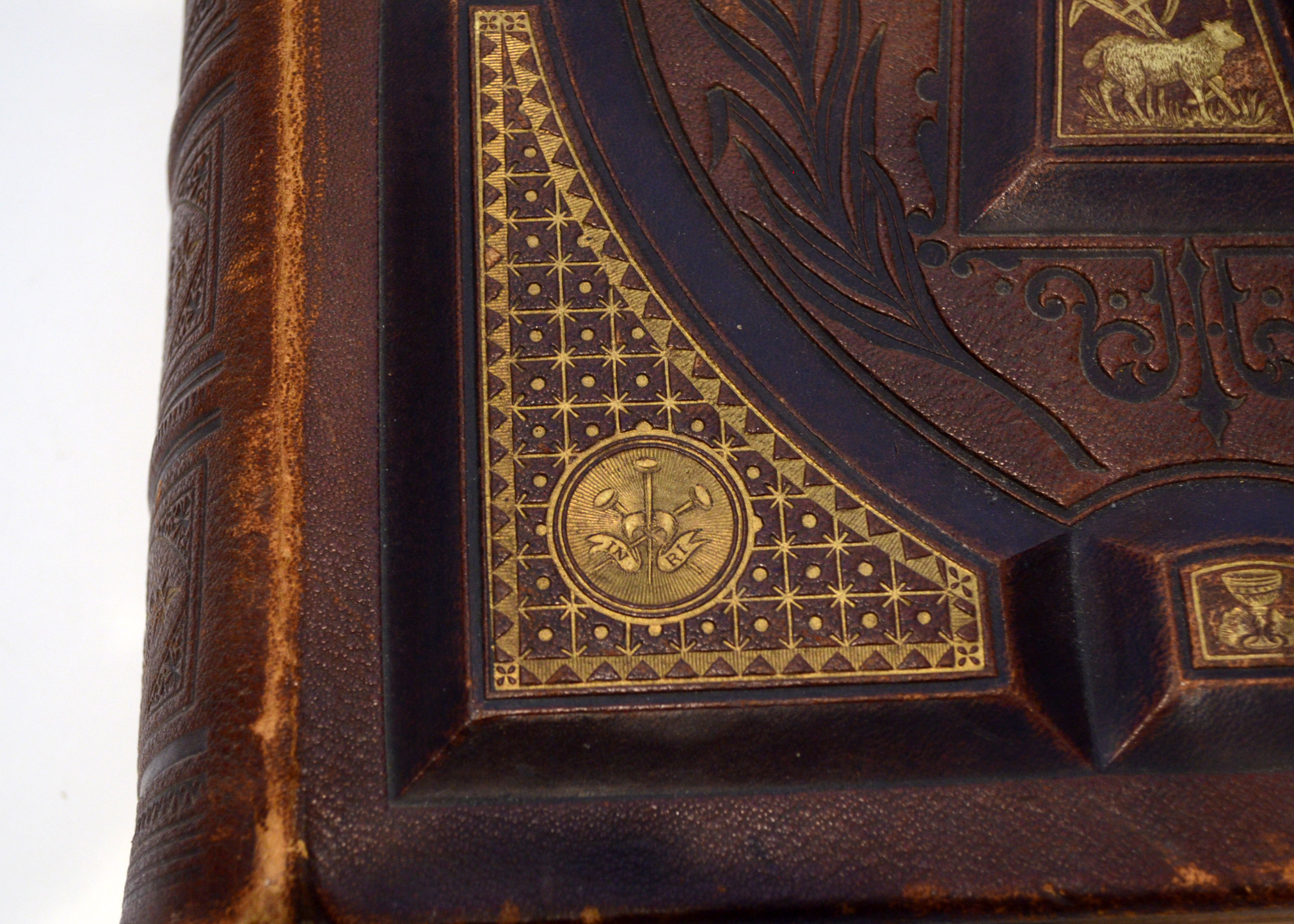 1884 Illustrated Douay Rheims Catholic Bible