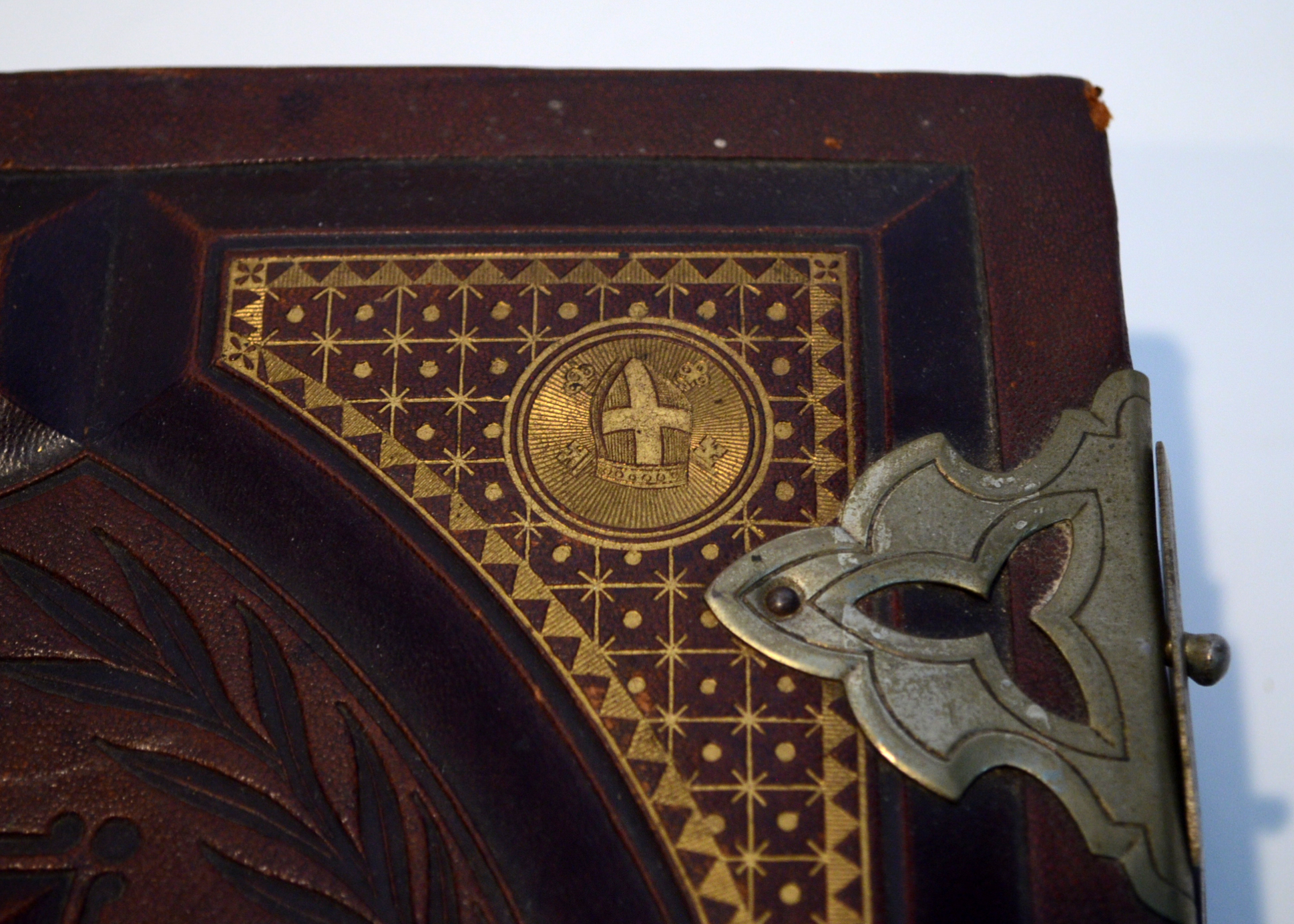 1884 Illustrated Douay Rheims Catholic Bible