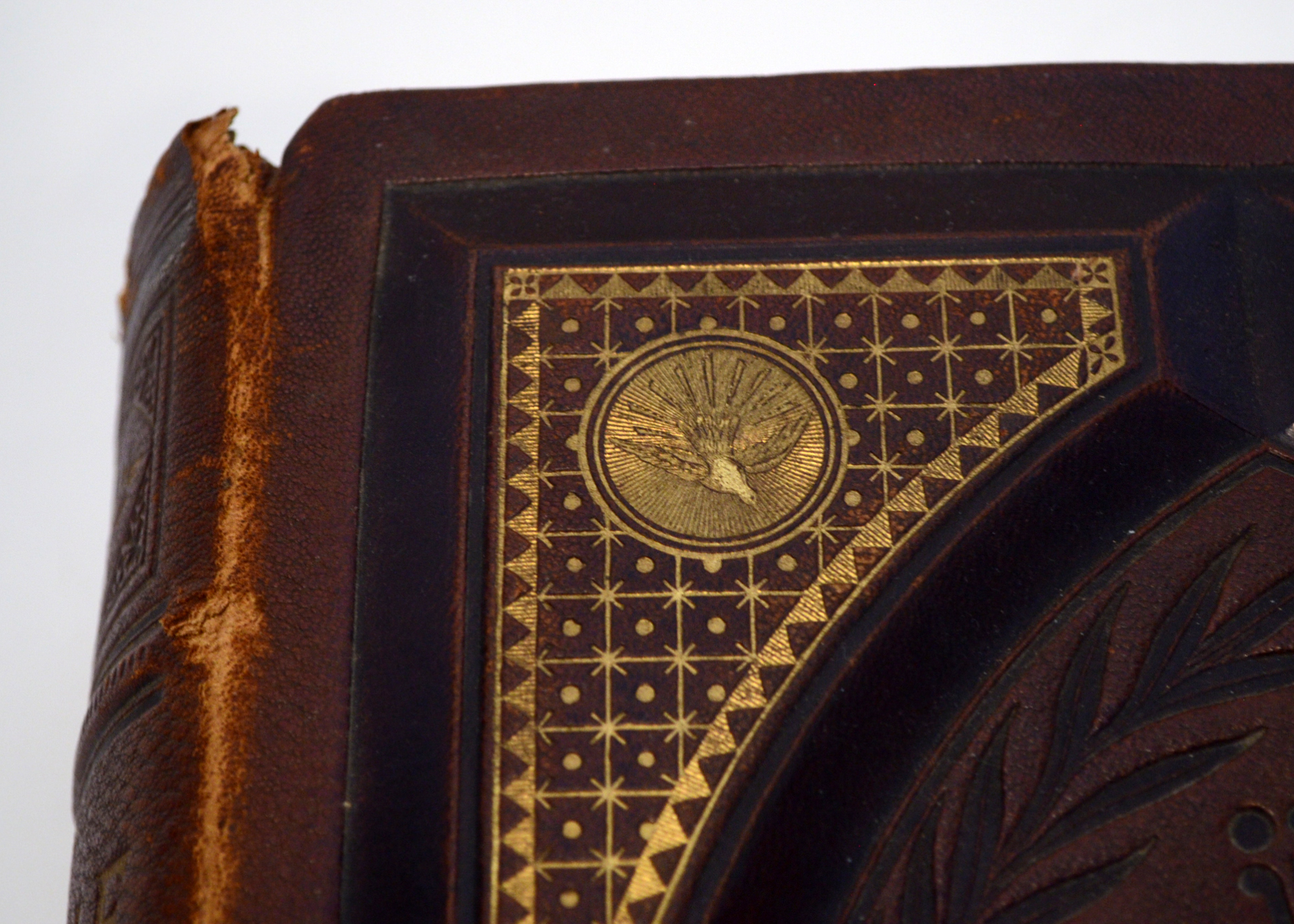 1884 Illustrated Douay Rheims Catholic Bible