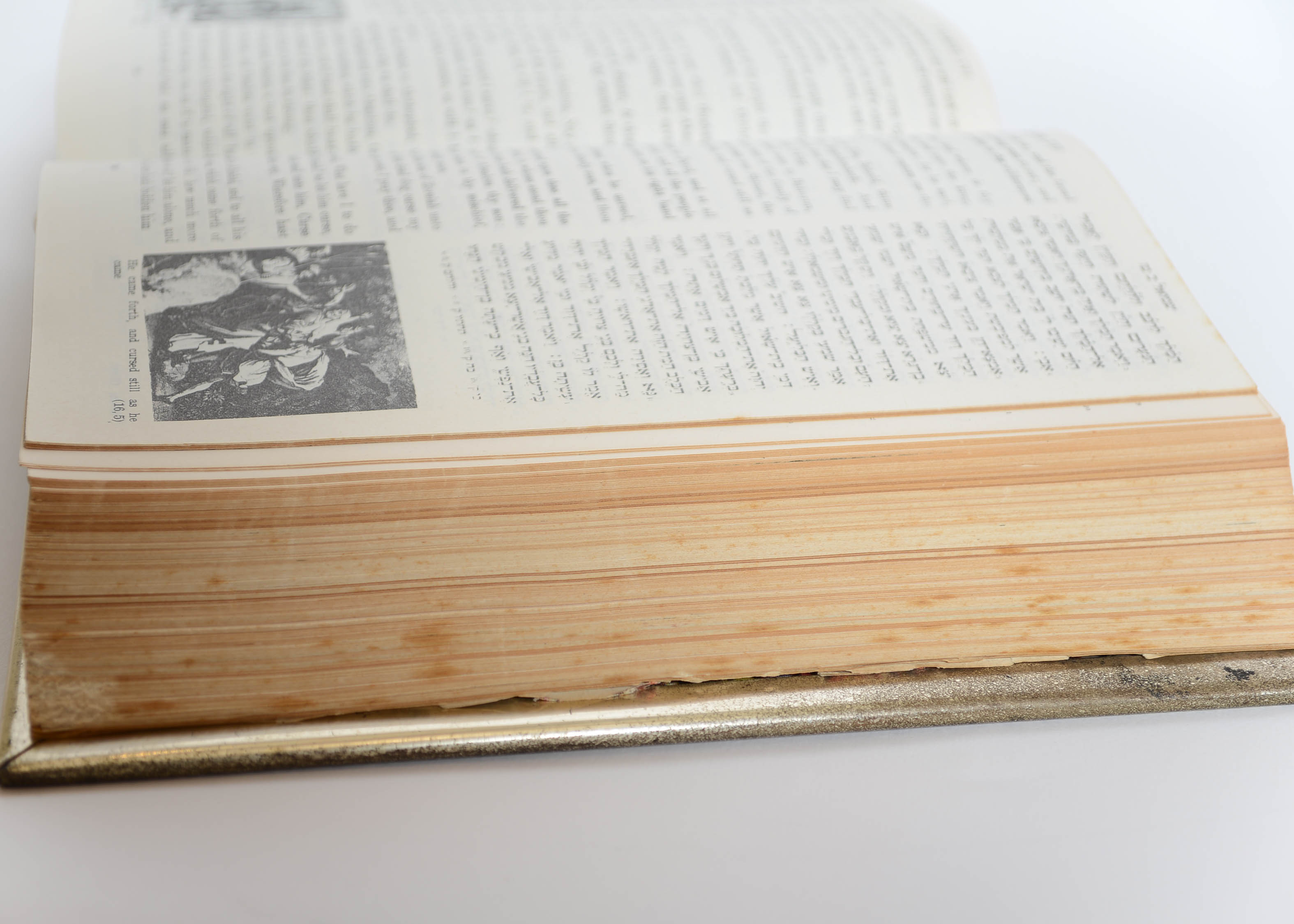 Illustrated Jerusalem Bible with Metal Covers and English Translation