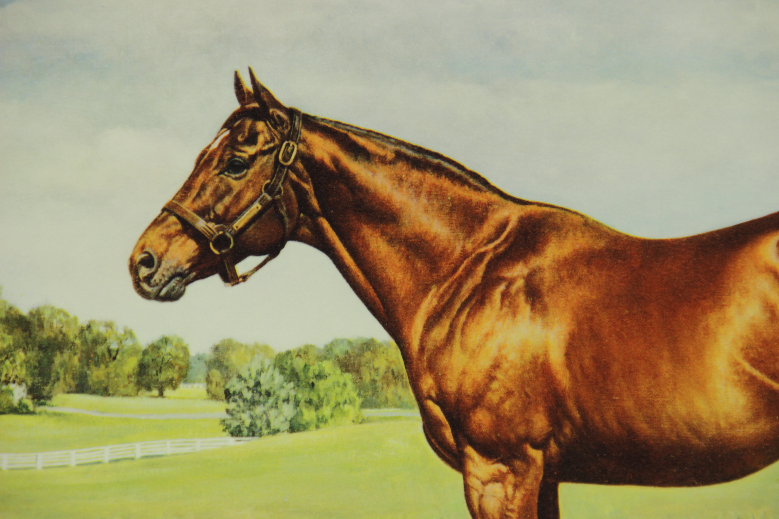 Unframed "Nashua" Print by James N. Slick